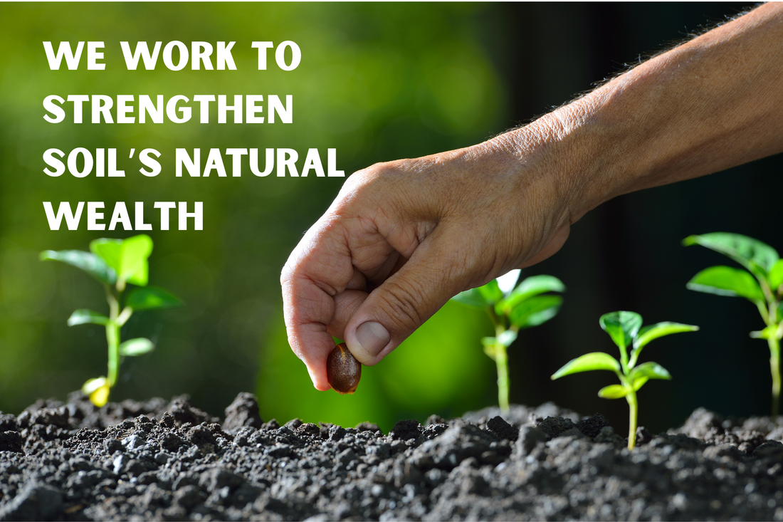 Soil is the World’s Most Precious Currency