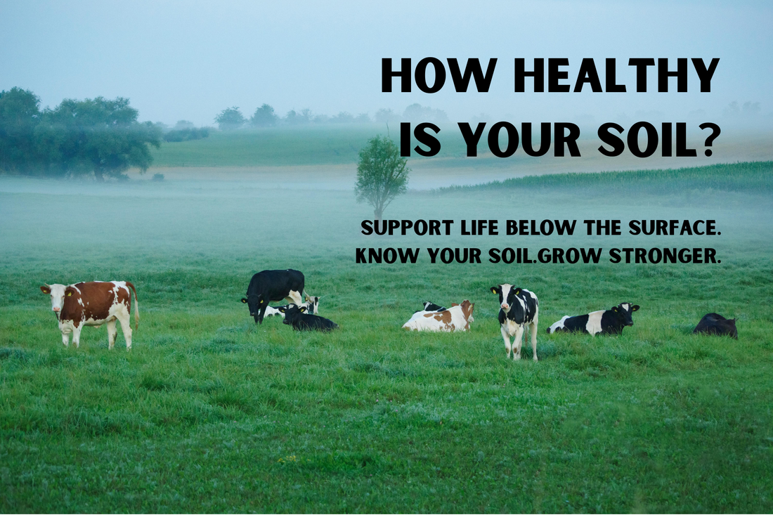 How Healthy Is Your Soil?