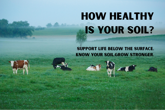 How Healthy Is Your Soil?