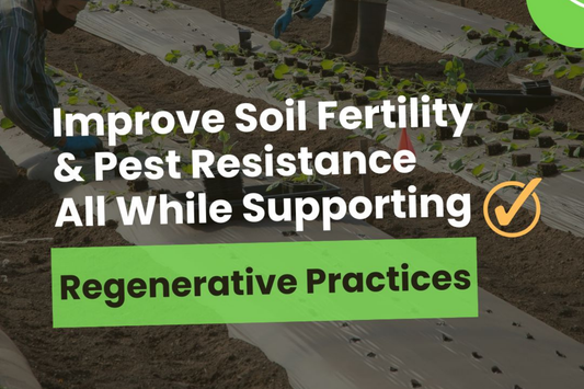 Improve Soil Fertility & Support Resilient Growth—Naturally