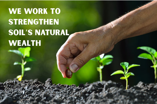 Soil is the World’s Most Precious Currency